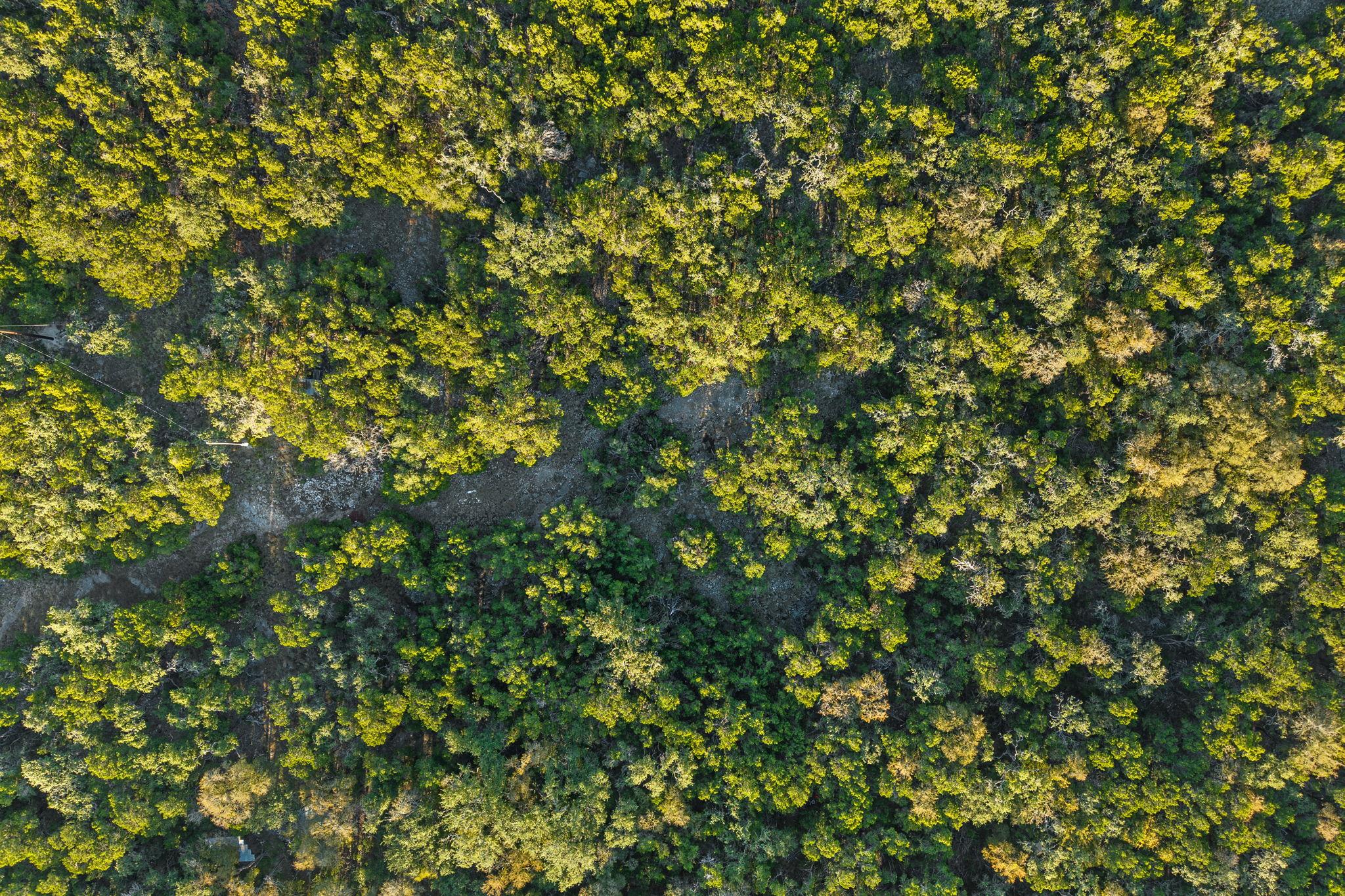 MLS #4326051 image #10