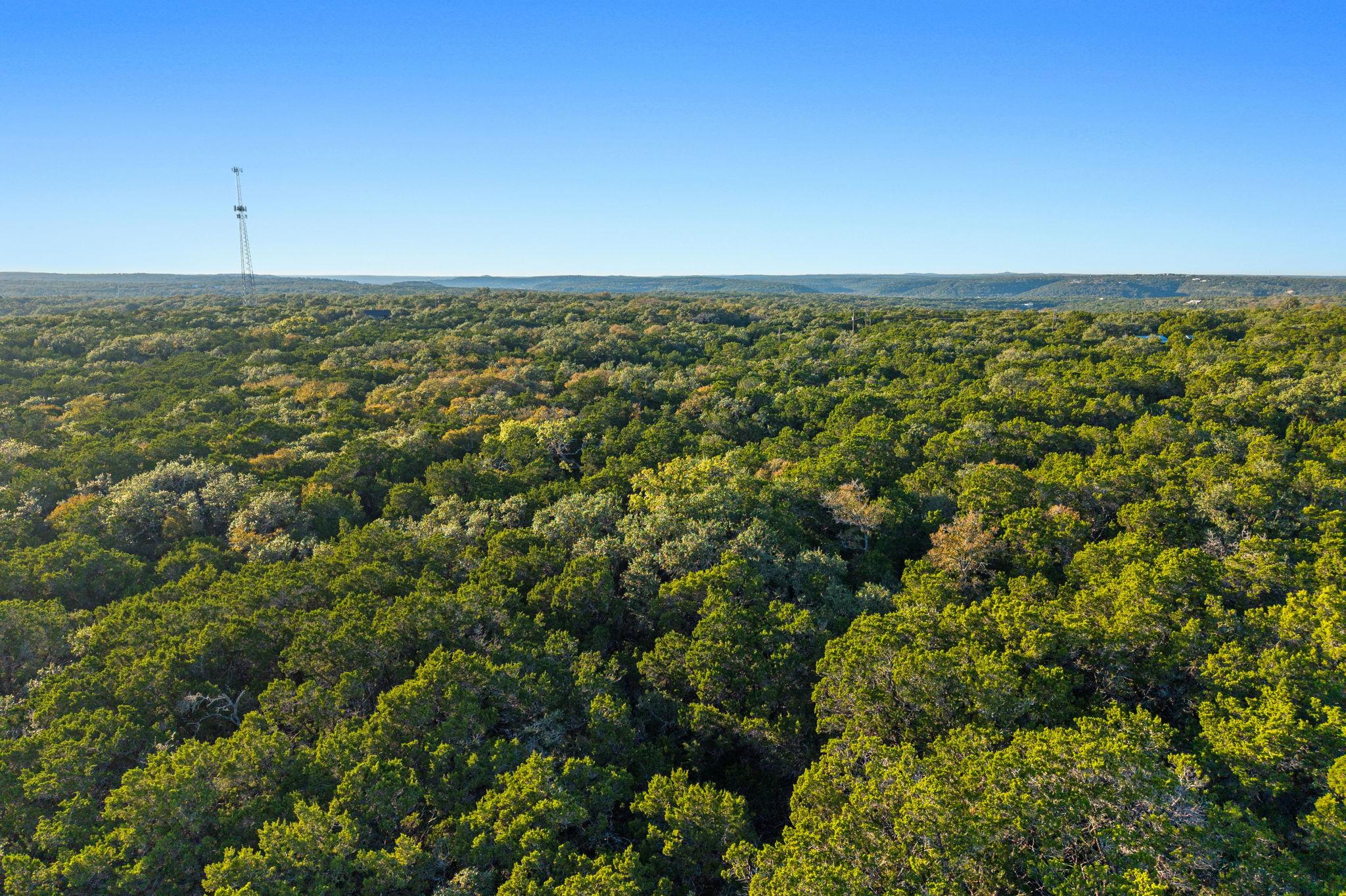 MLS #4326051 image #12