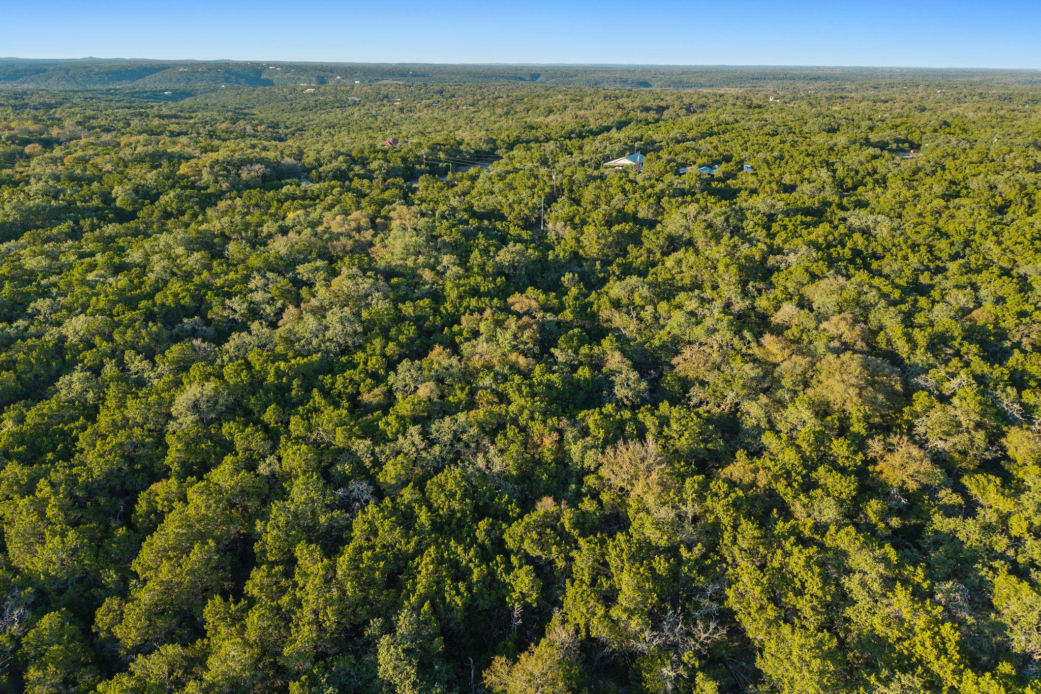 MLS #4326051 image #14