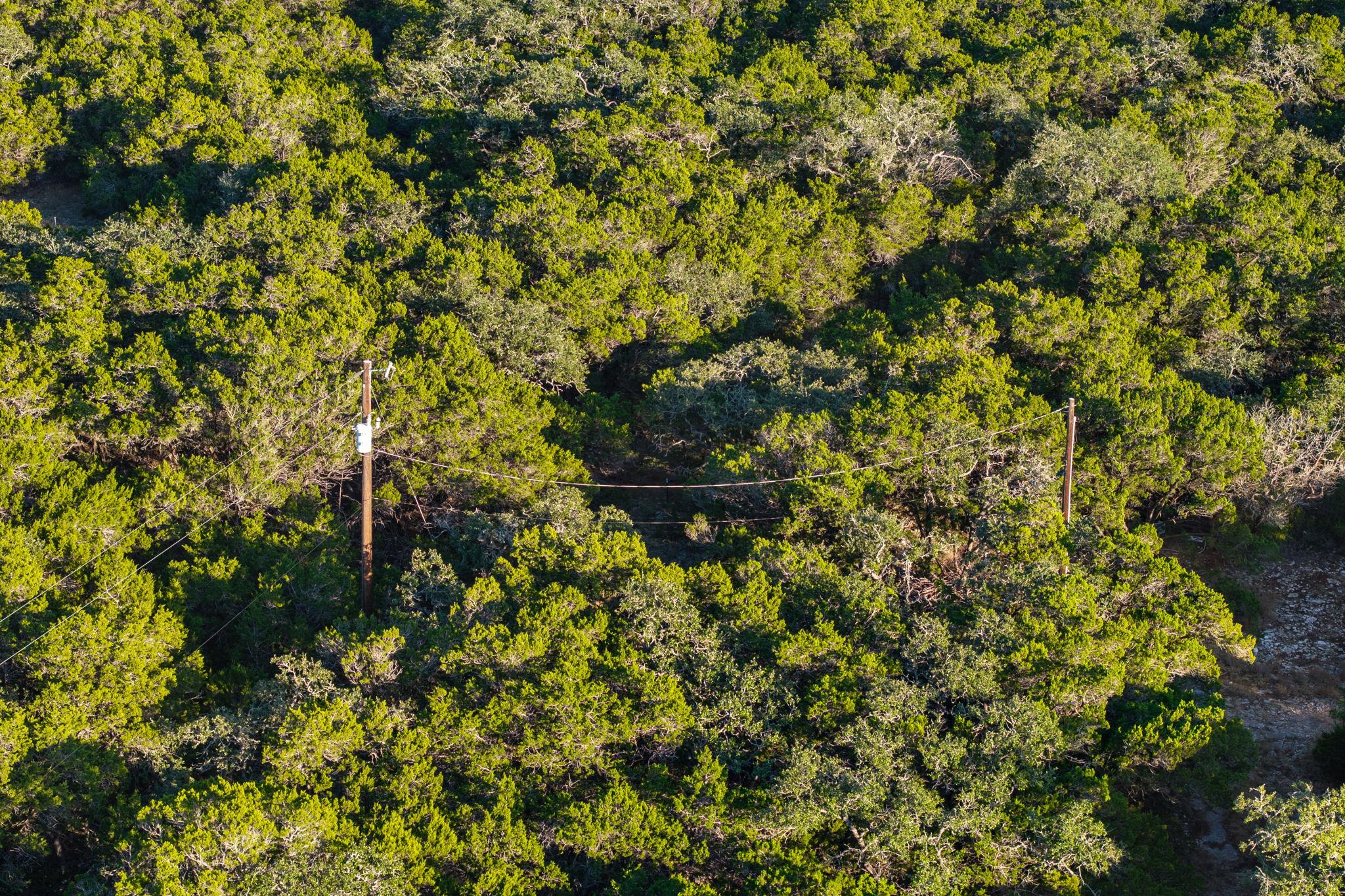 MLS #4326051 image #16