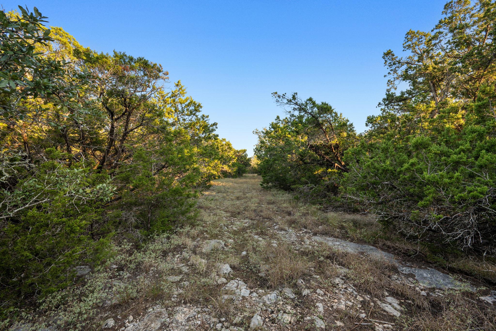 MLS #4326051 image #21