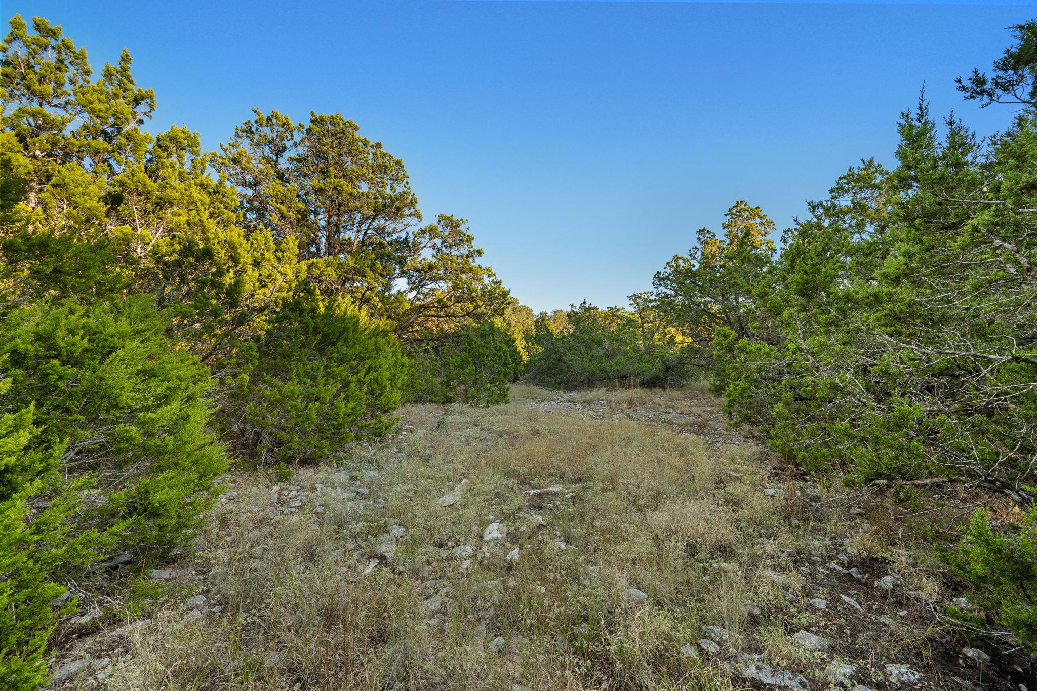 MLS #4326051 image #23