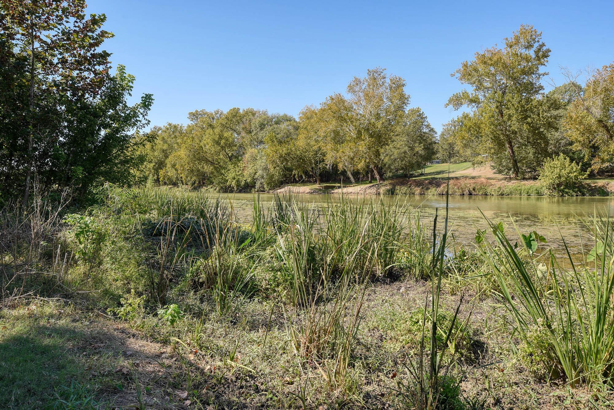 MLS #5220568 image #30