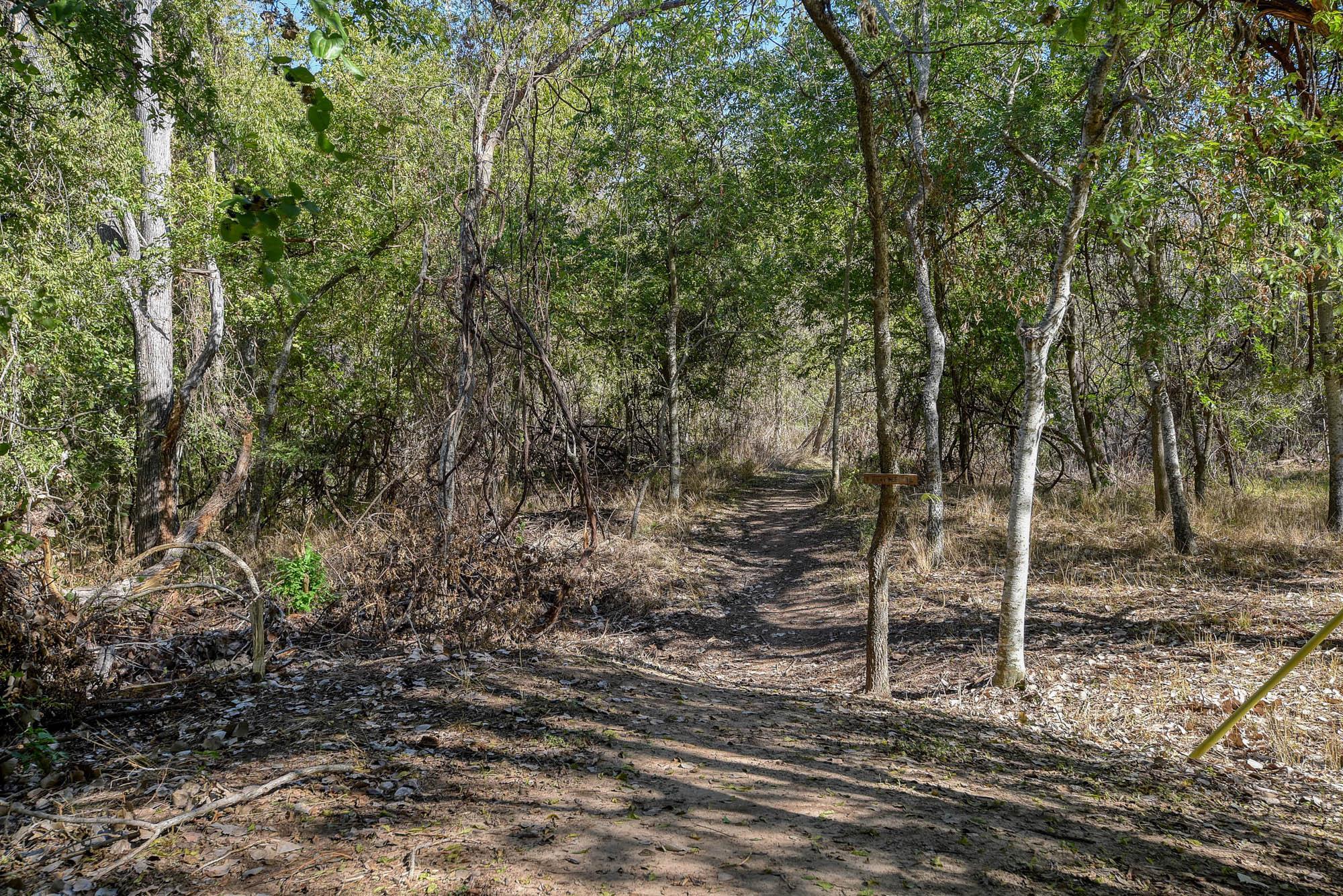 MLS #5220568 image #37