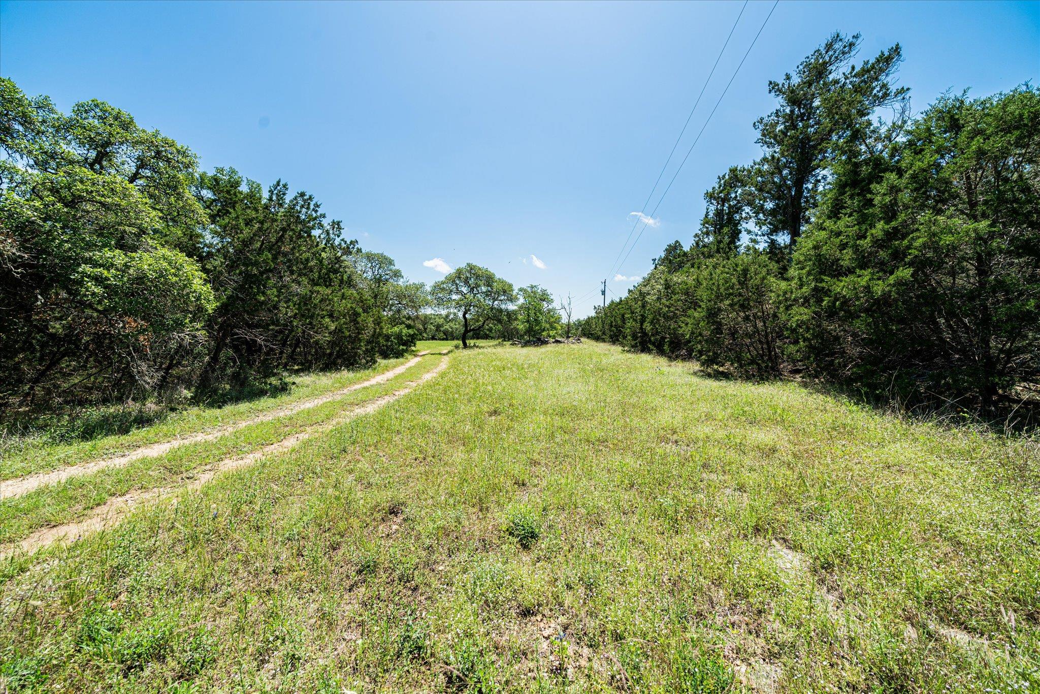 MLS #6018795 image #14