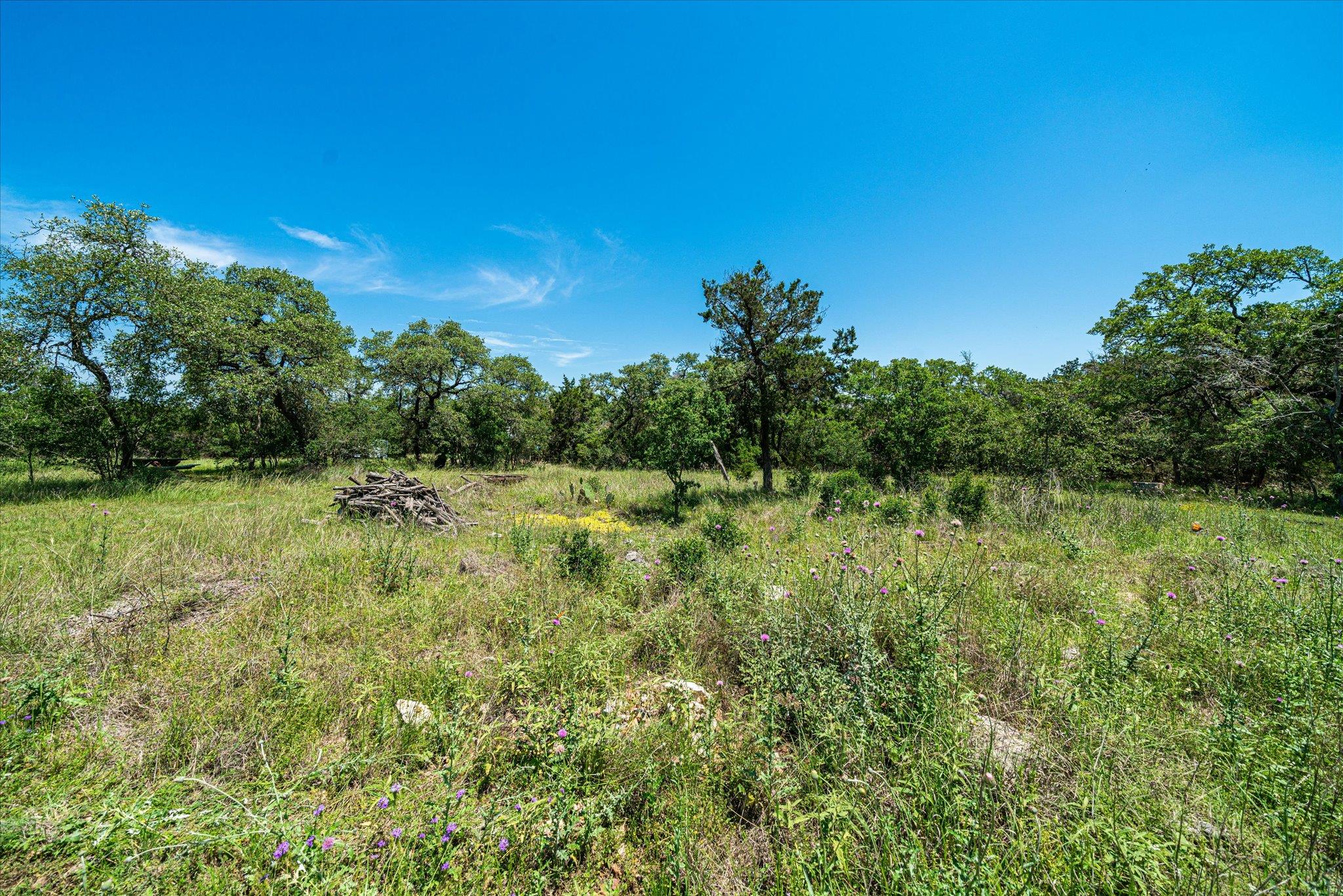 MLS #6018795 image #9