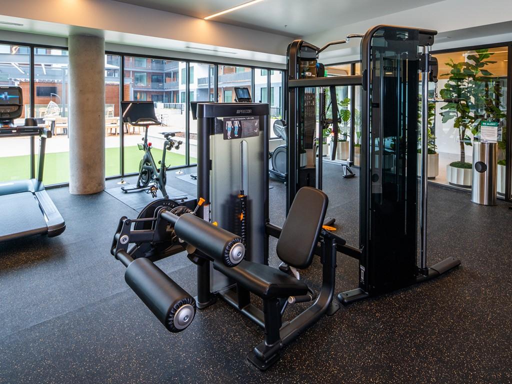 MLS #6246259 image #20