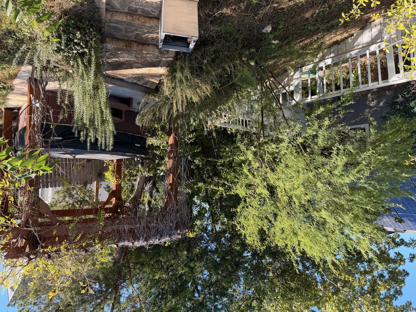 MLS #6337783 image #32