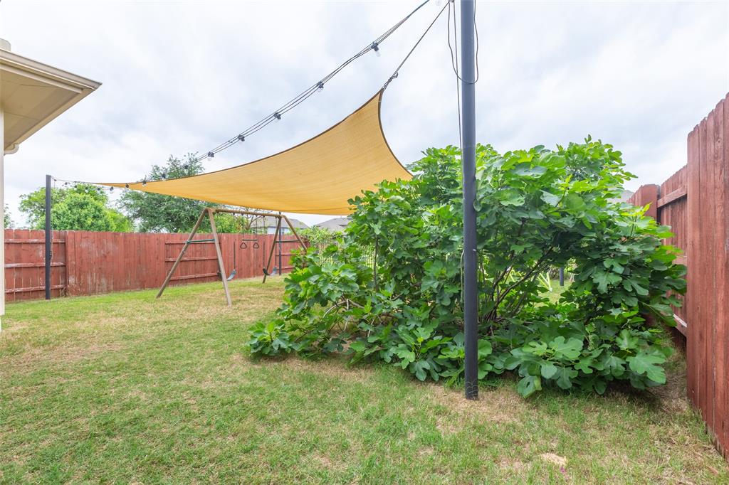 MLS #6434281 image #29