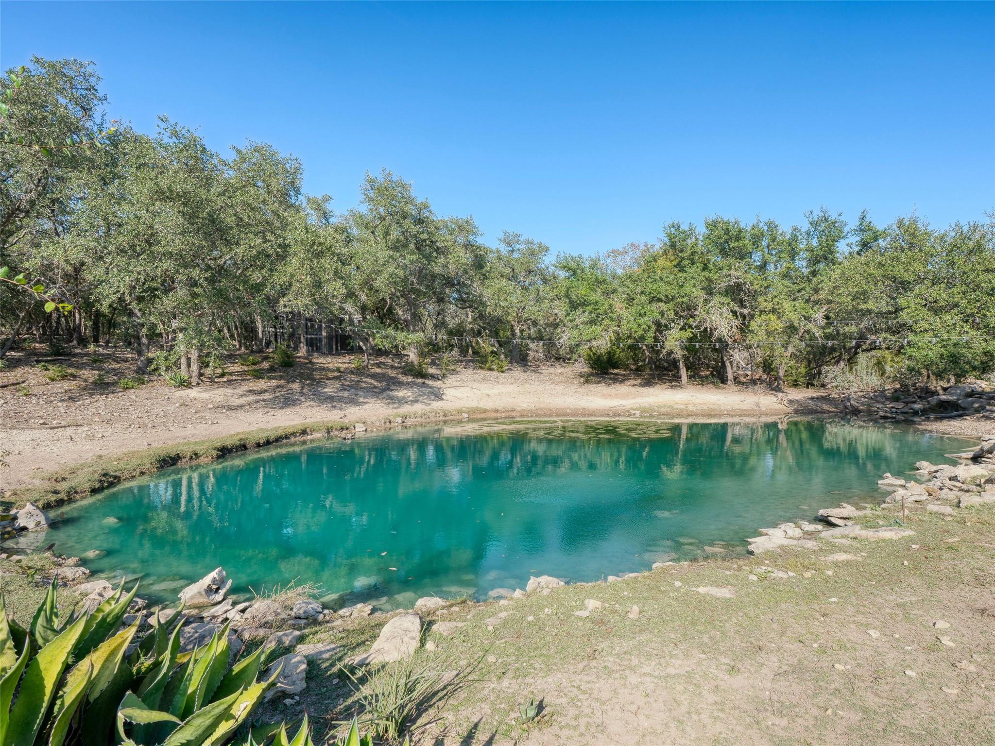 MLS #6851176 image #34