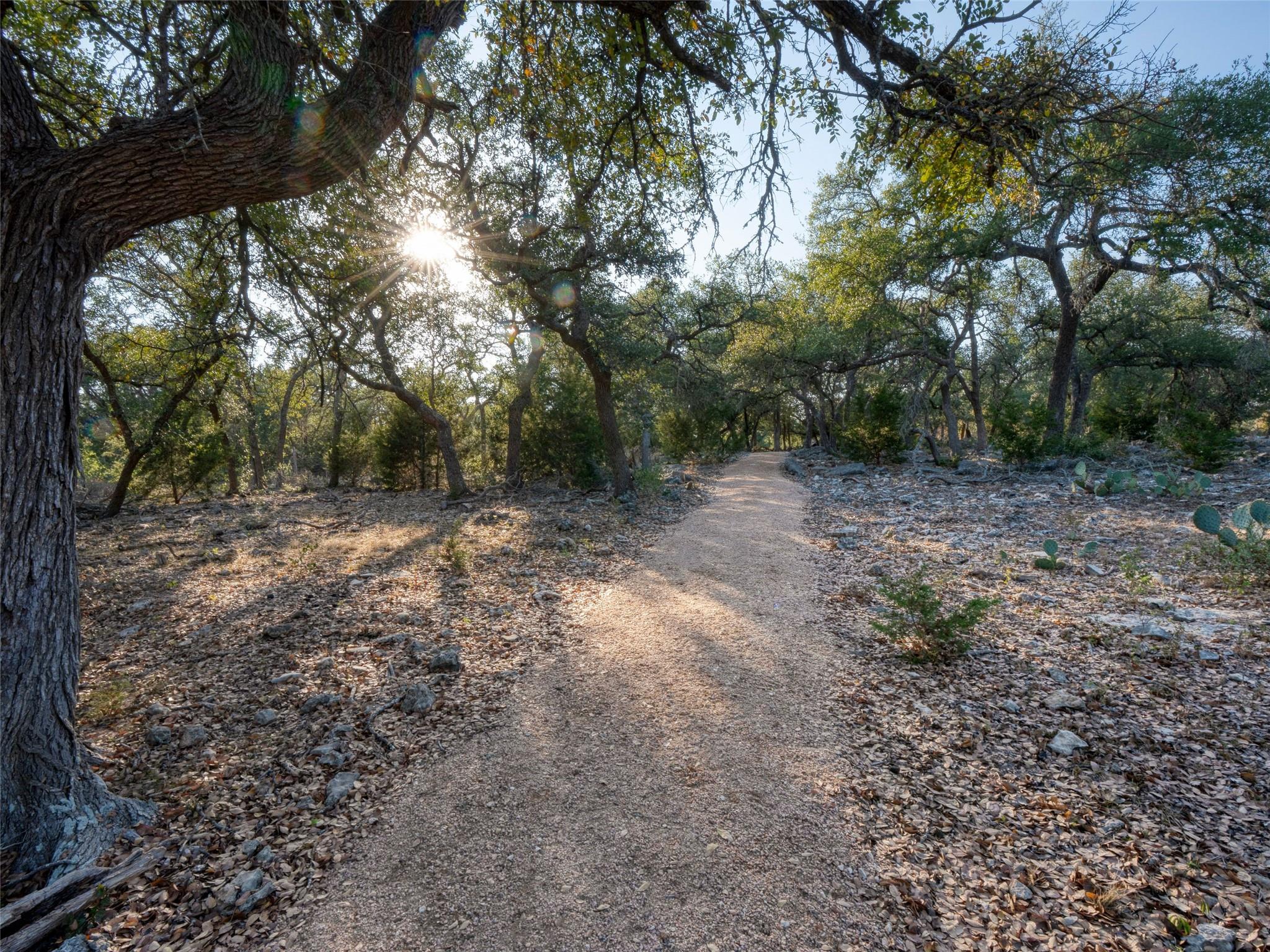 MLS #6851176 image #38