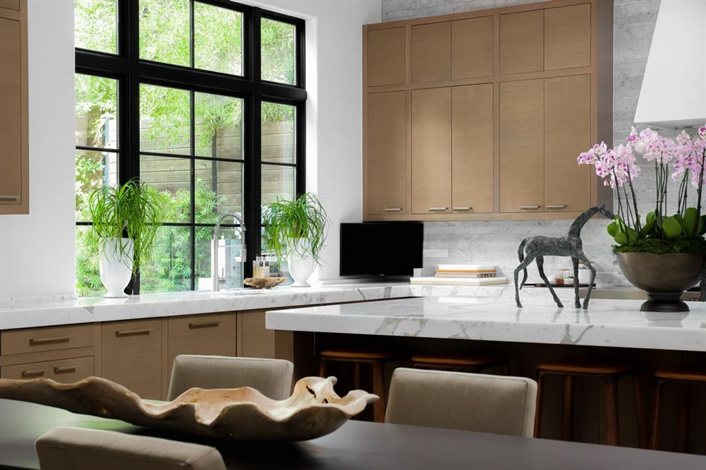 MLS #6876285 image #8