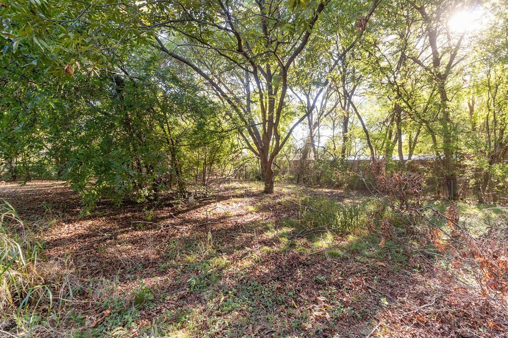 MLS #6893325 image #11