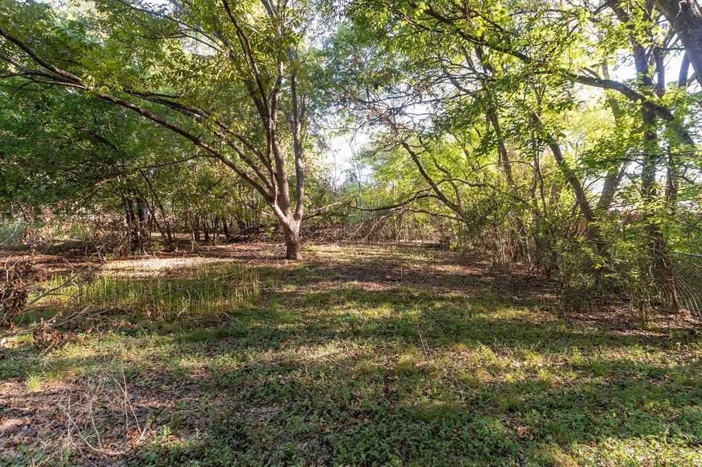 MLS #6893325 image #12