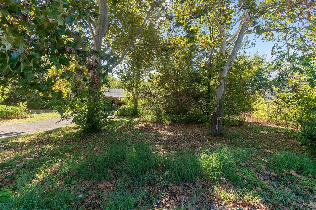 MLS #6893325 image #15