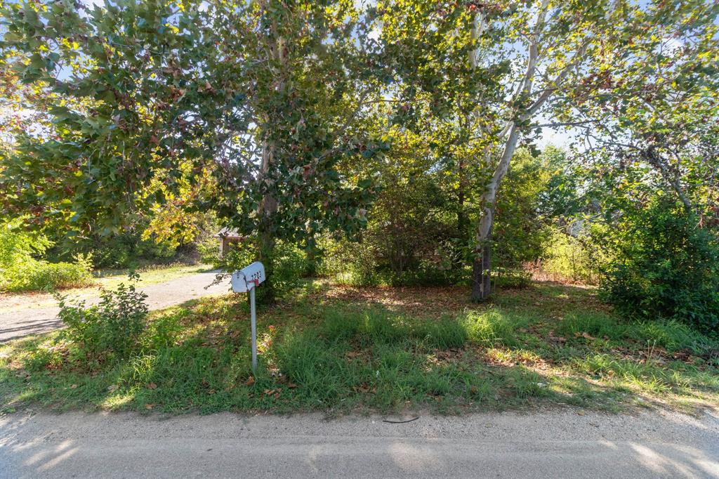 MLS #6893325 image #16