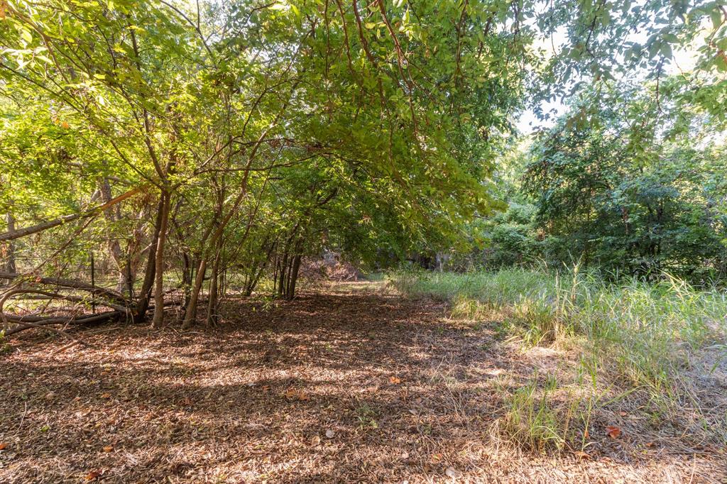 MLS #6893325 image #2