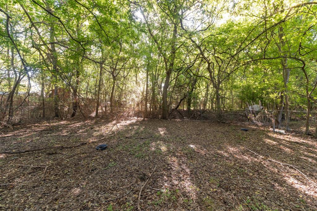 MLS #6893325 image #3