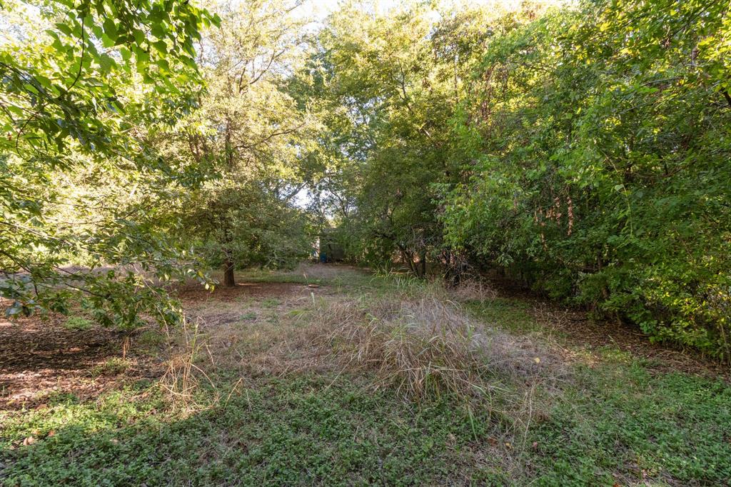 MLS #6893325 image #4