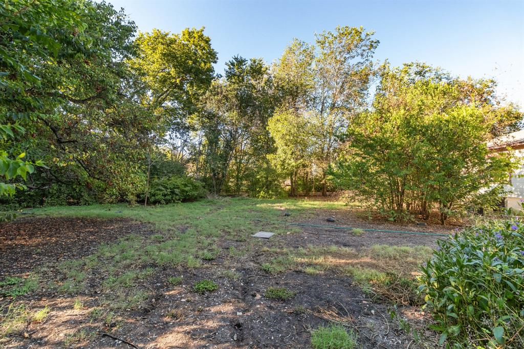 MLS #6893325 image #9