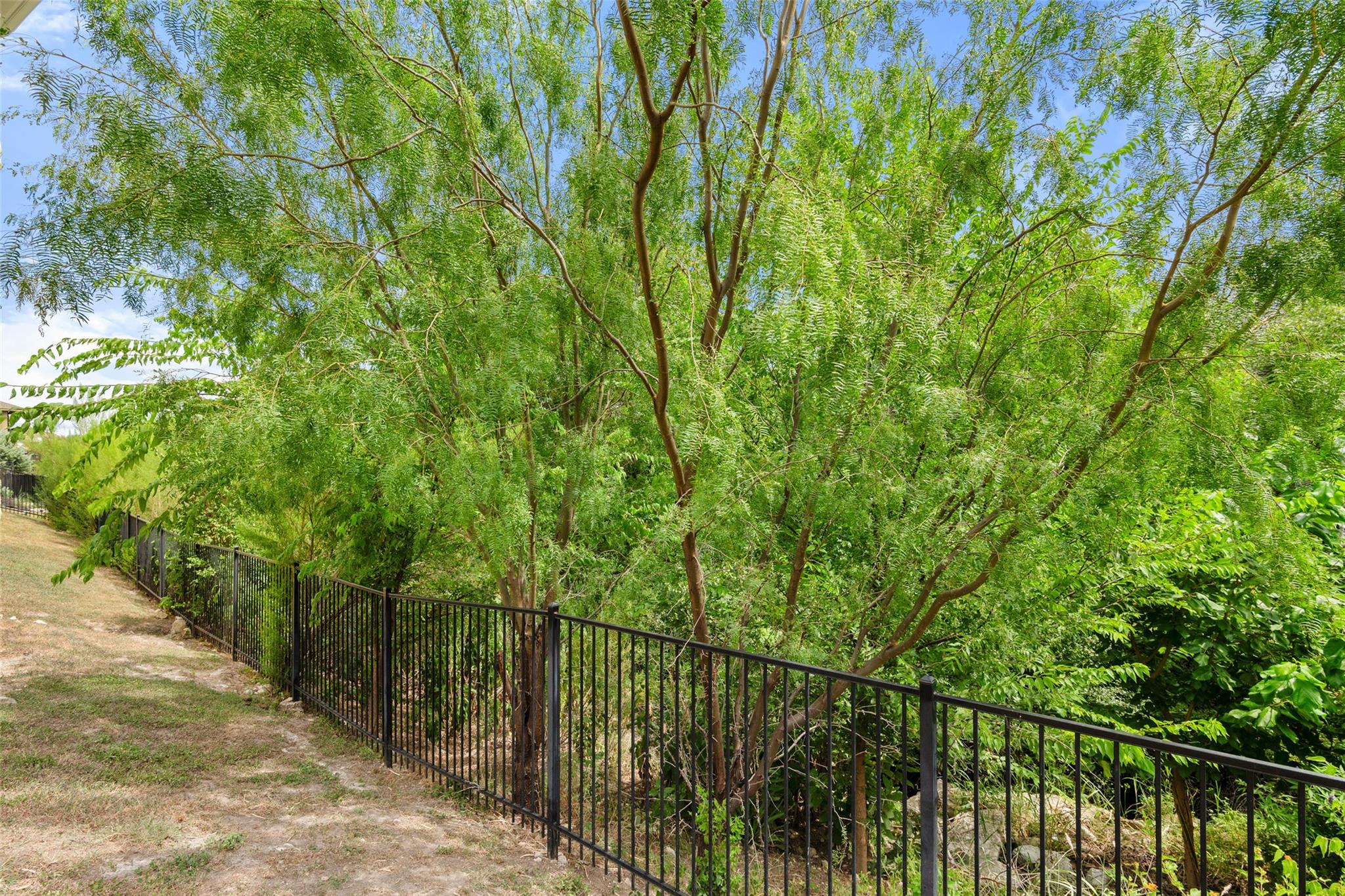 MLS #6967396 image #34