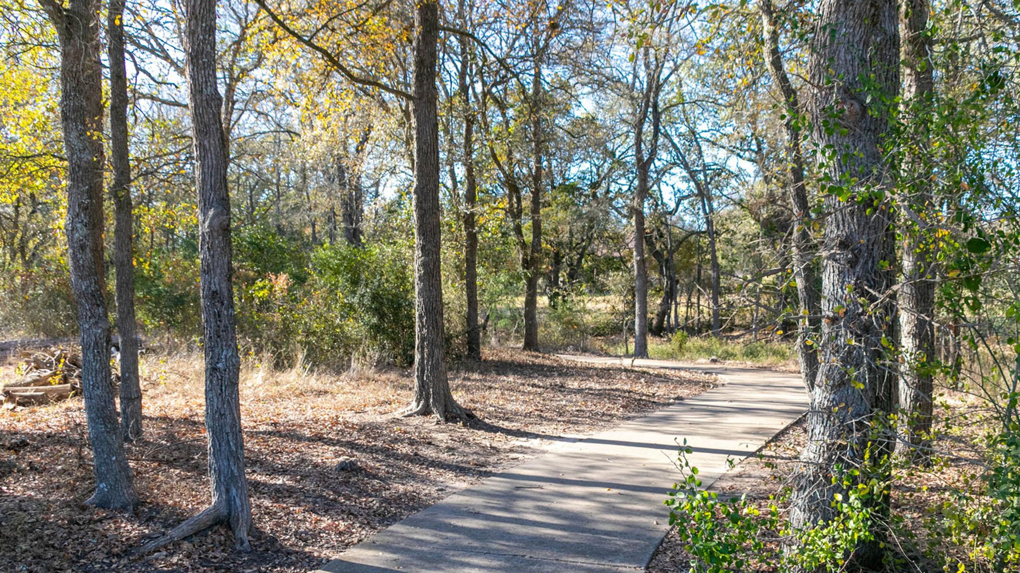 MLS #7054474 image #25