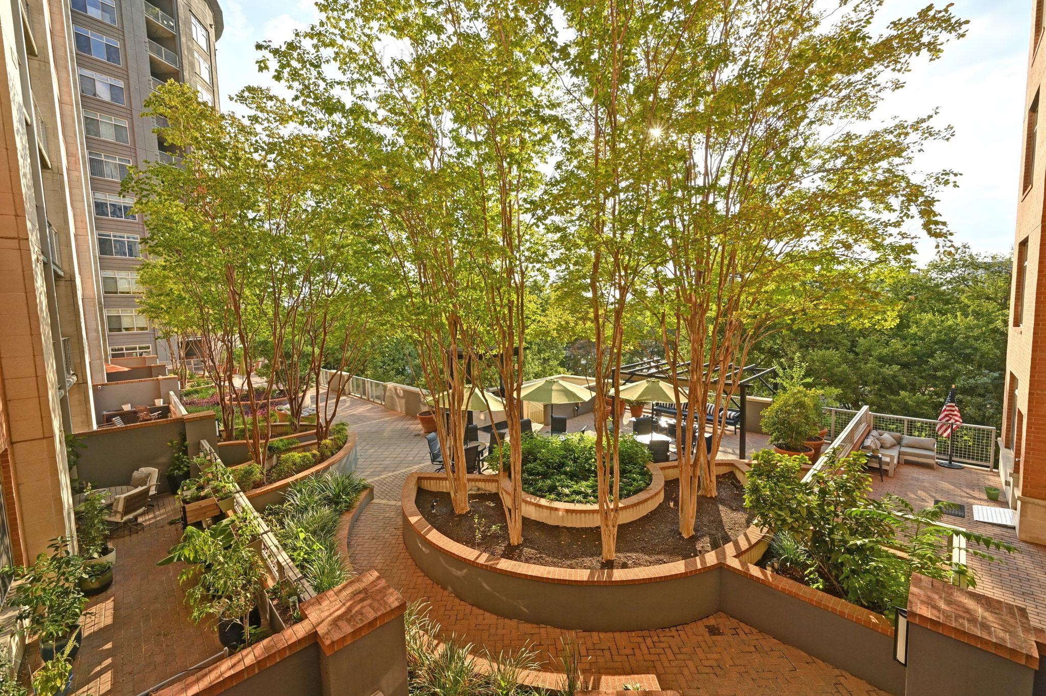 MLS #7559774 image #19