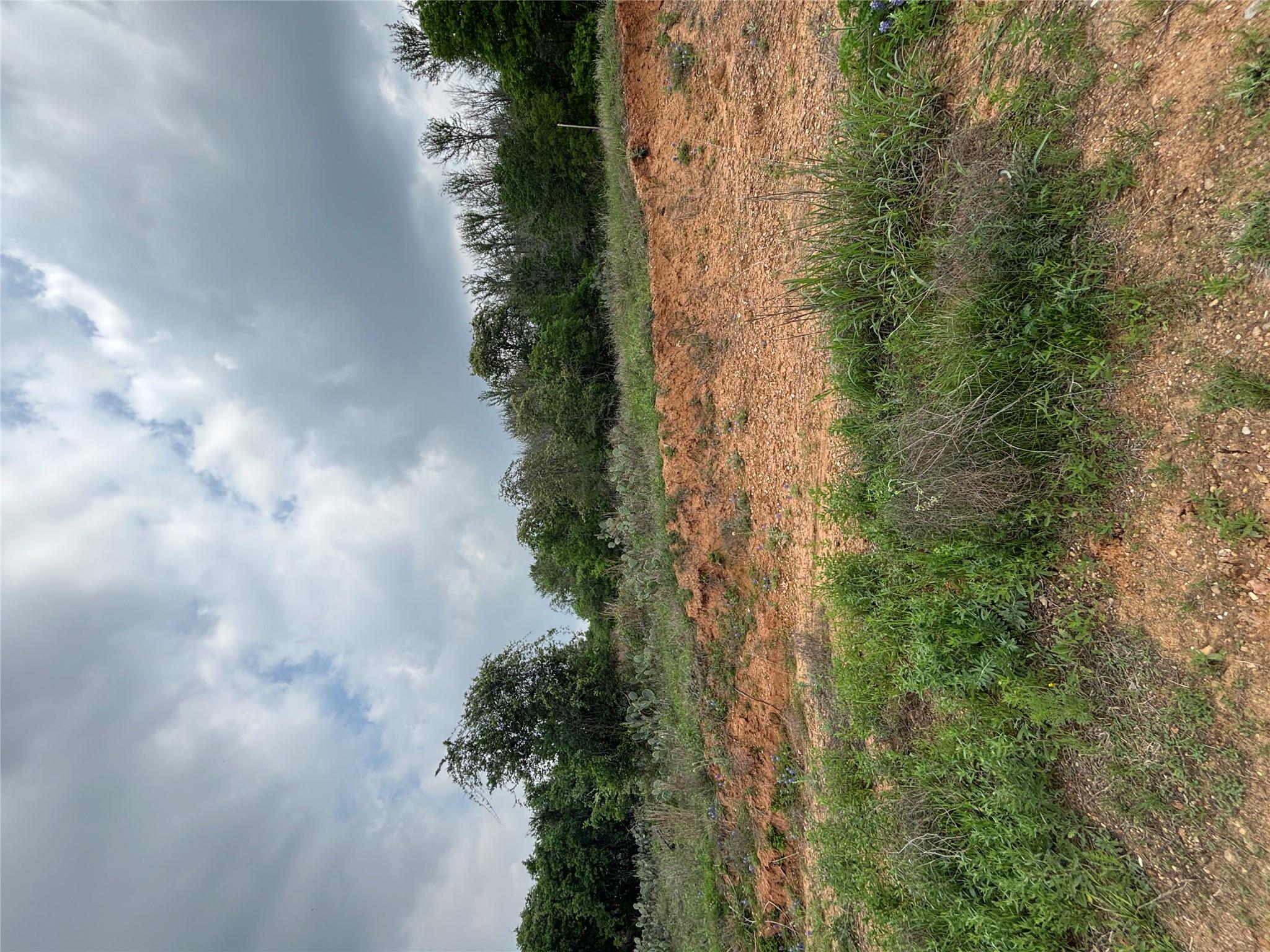 MLS #8445777 image #2