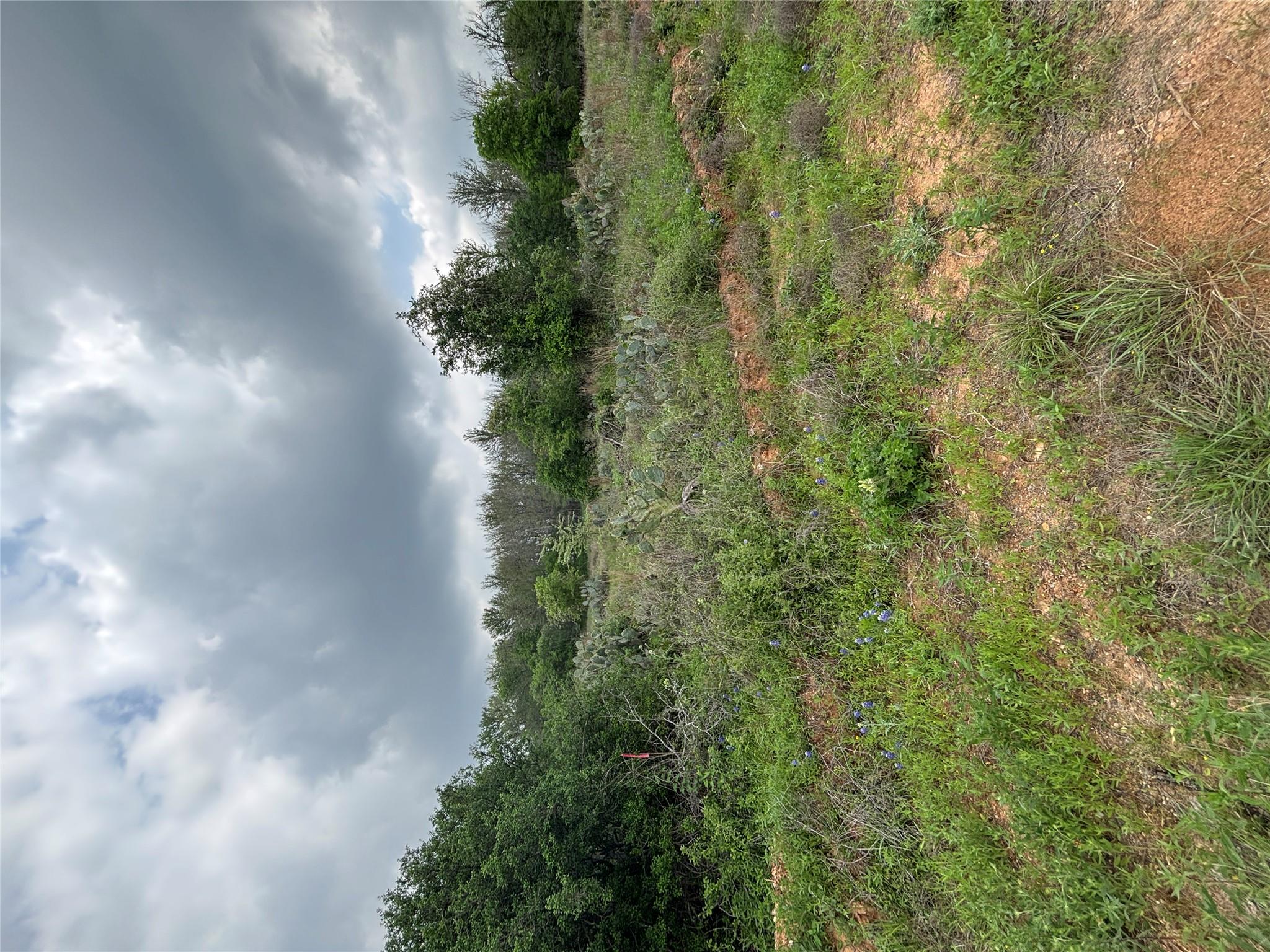 MLS #8445777 image #3