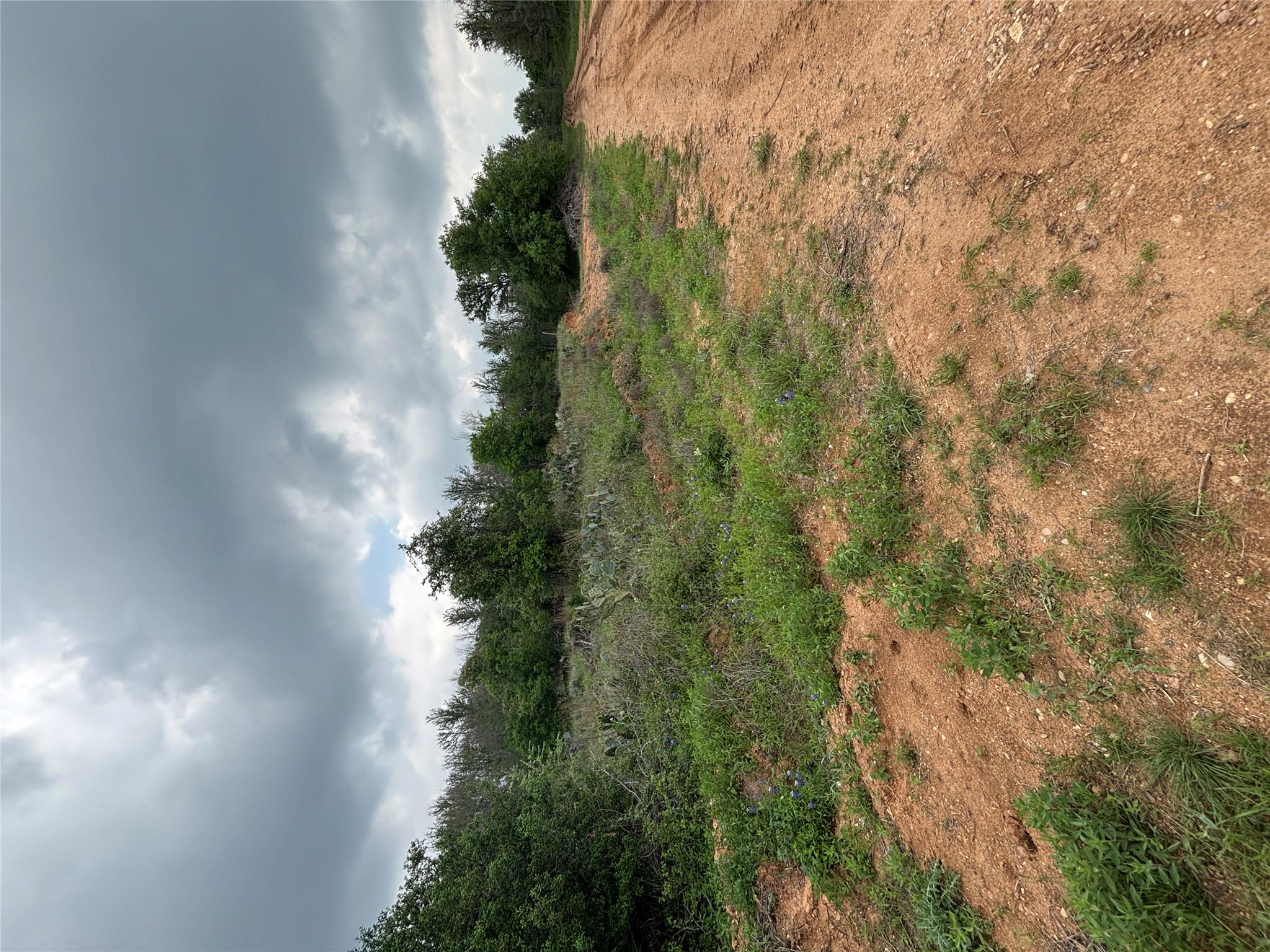 MLS #8445777 image #4