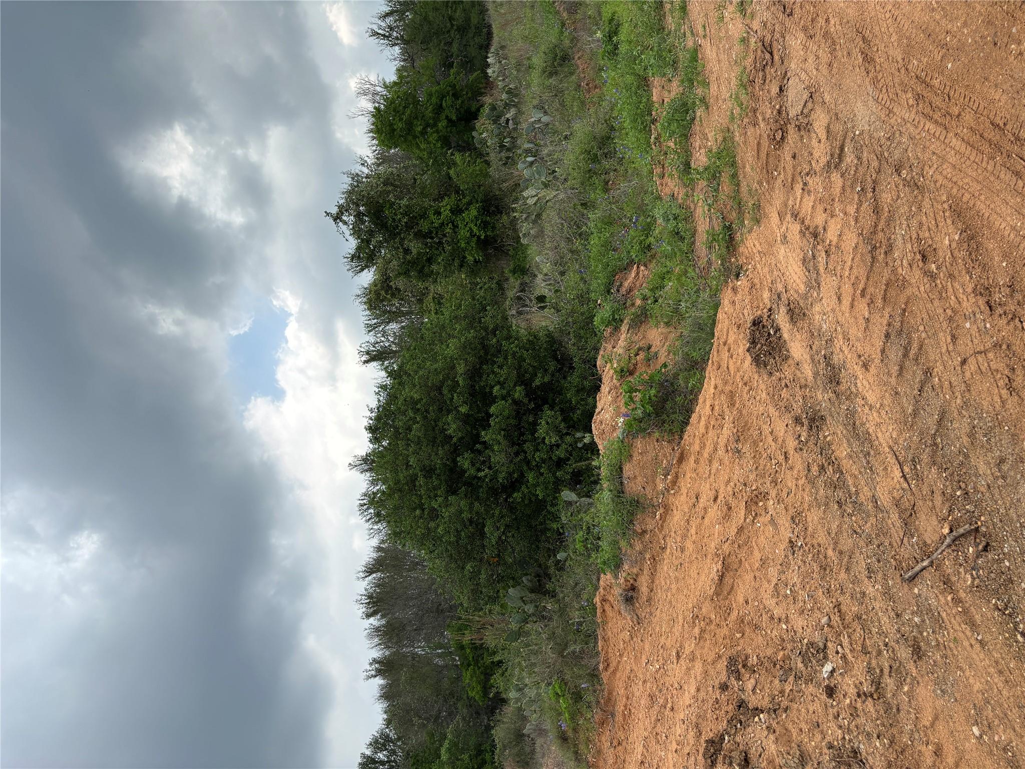 MLS #8445777 image #5