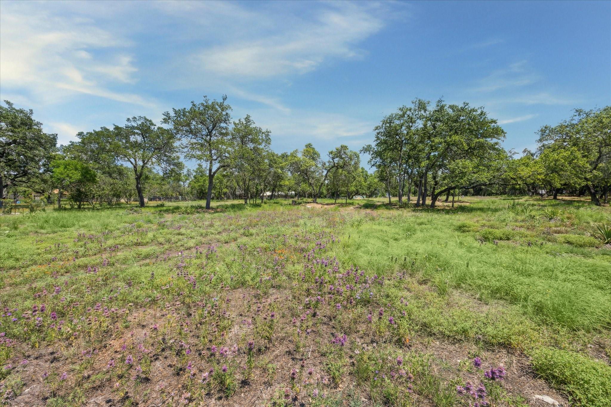 MLS #8689824 image #10