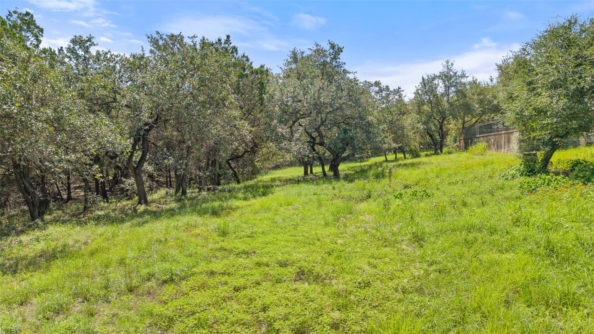 MLS #8780283 image #34