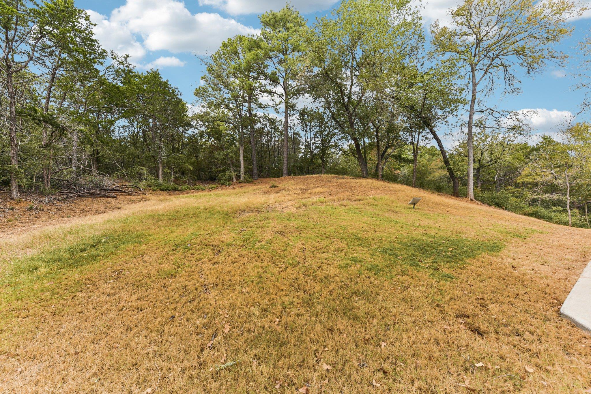 MLS #8884135 image #6