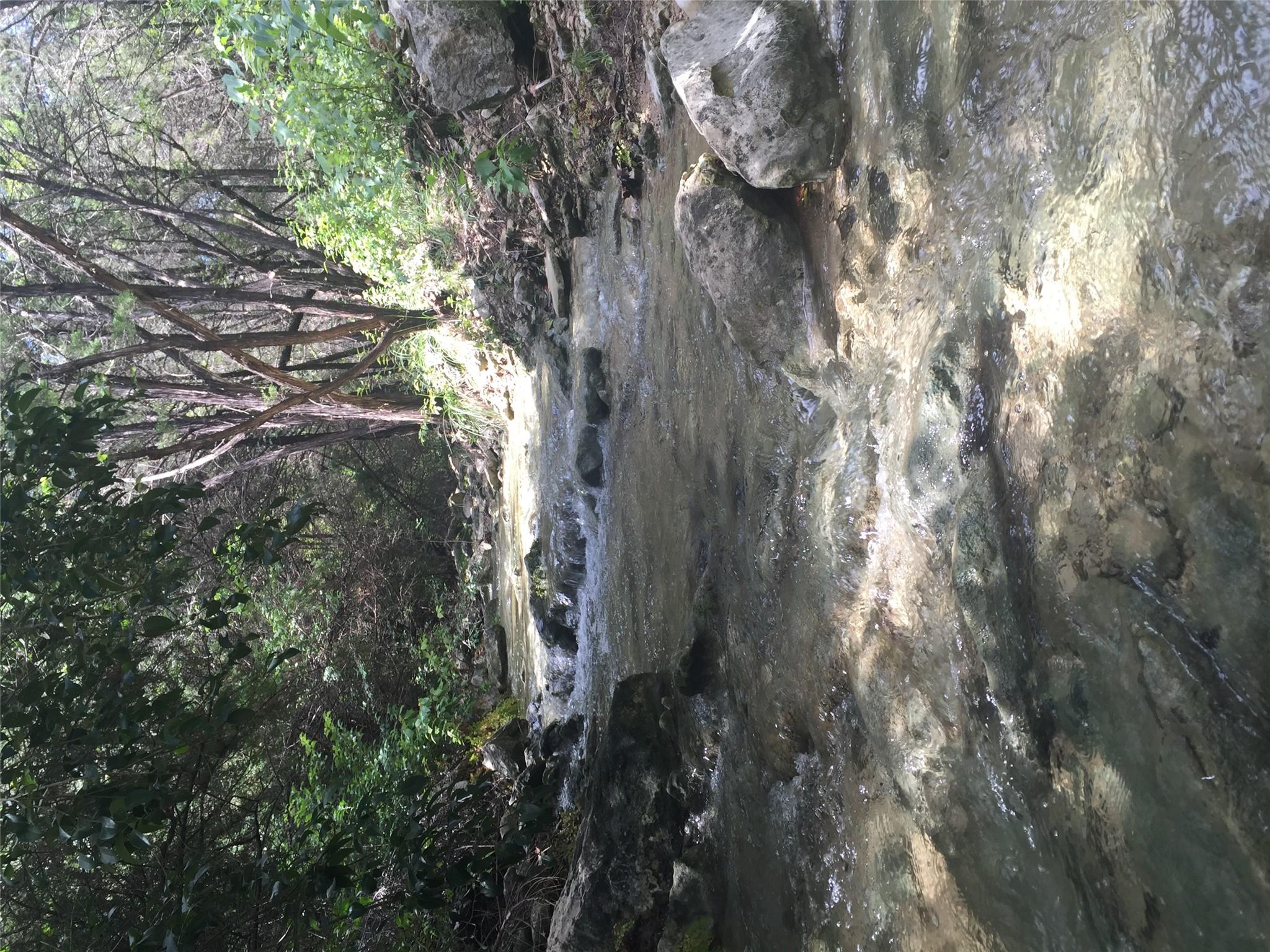 MLS #9566503 image #34