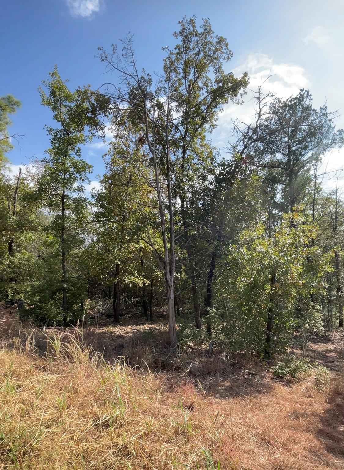 MLS #9824725 image #2