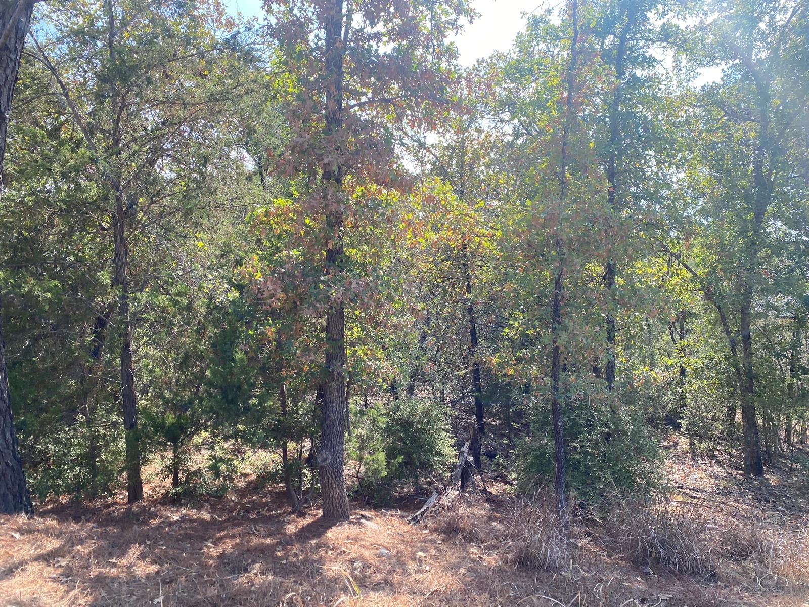 MLS #9824725 image #3