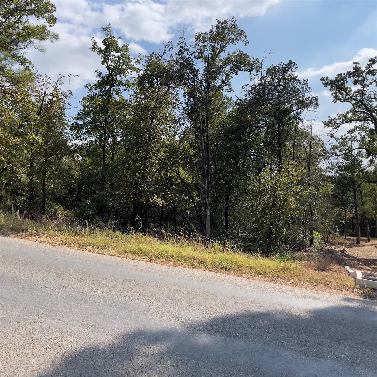 MLS #9824725 image #4