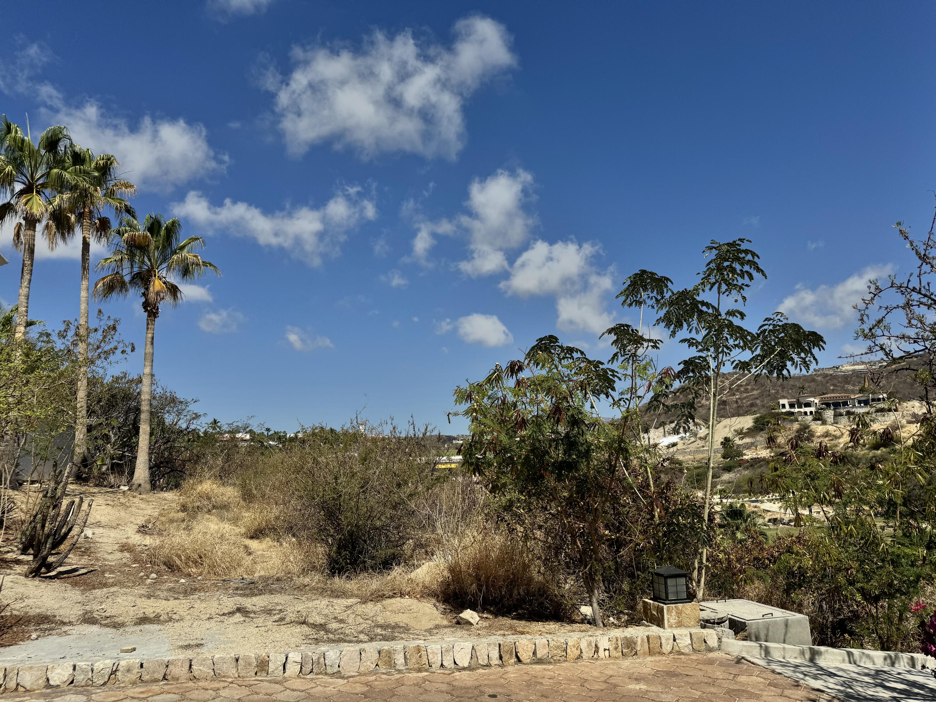 Palmilla Norte Homesite 28 San Jose Corridor BCS MLS #24-2121 43 MLS #24-2121 image #2