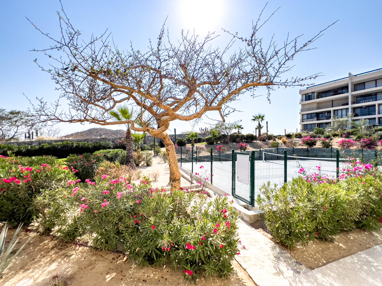 MLS #24-2382 image #67