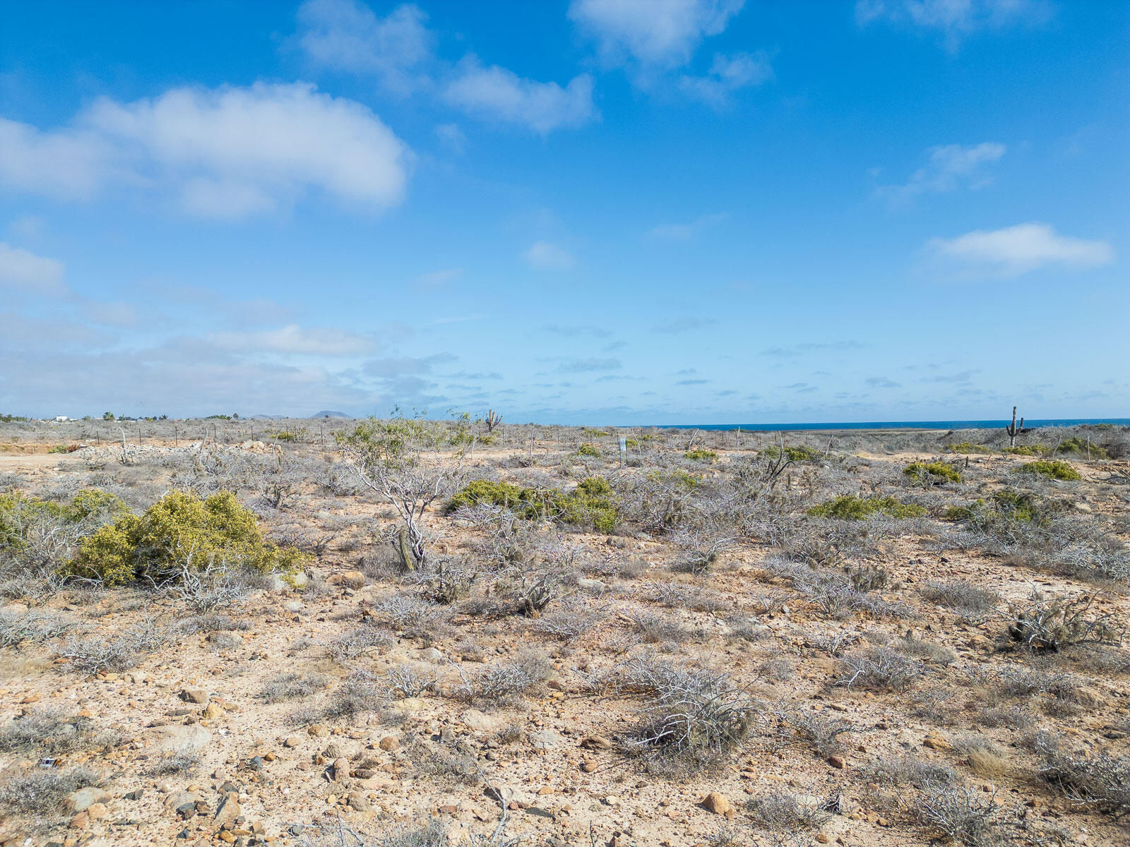 MLS #24-2947 image #5