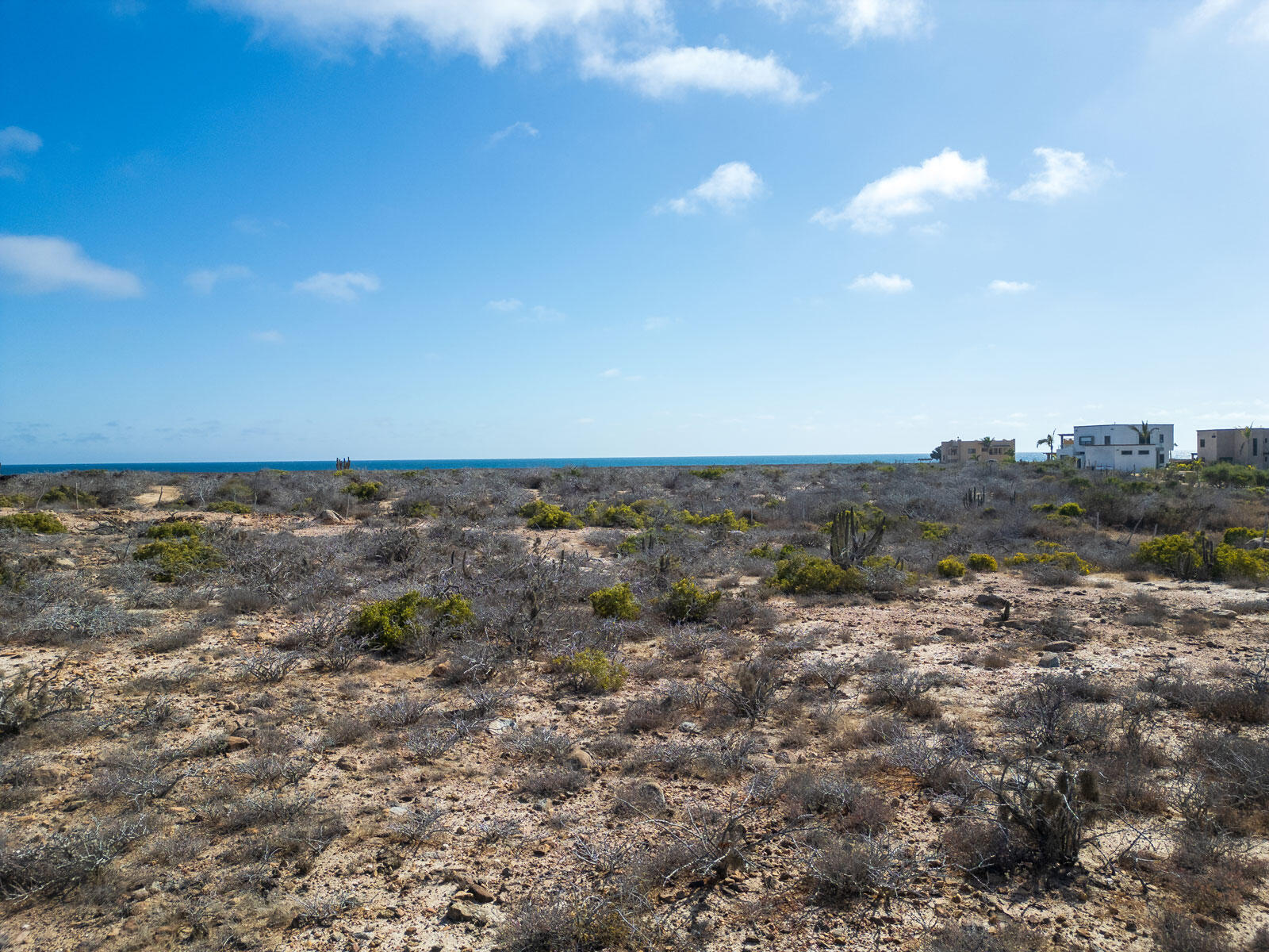 MLS #24-2947 image #6