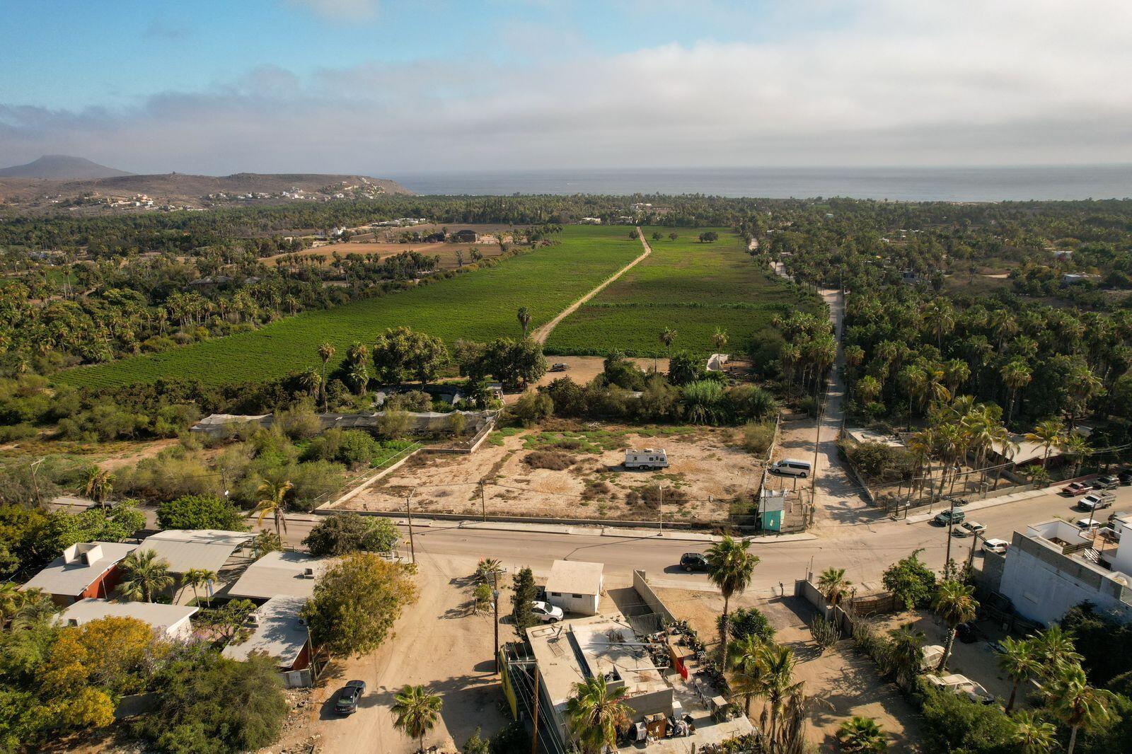 MLS #24-2986 image #1