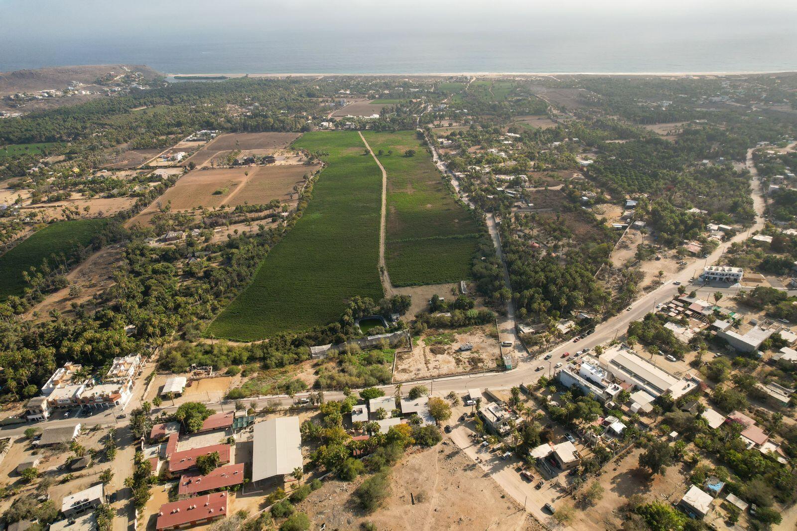 MLS #24-2986 image #3