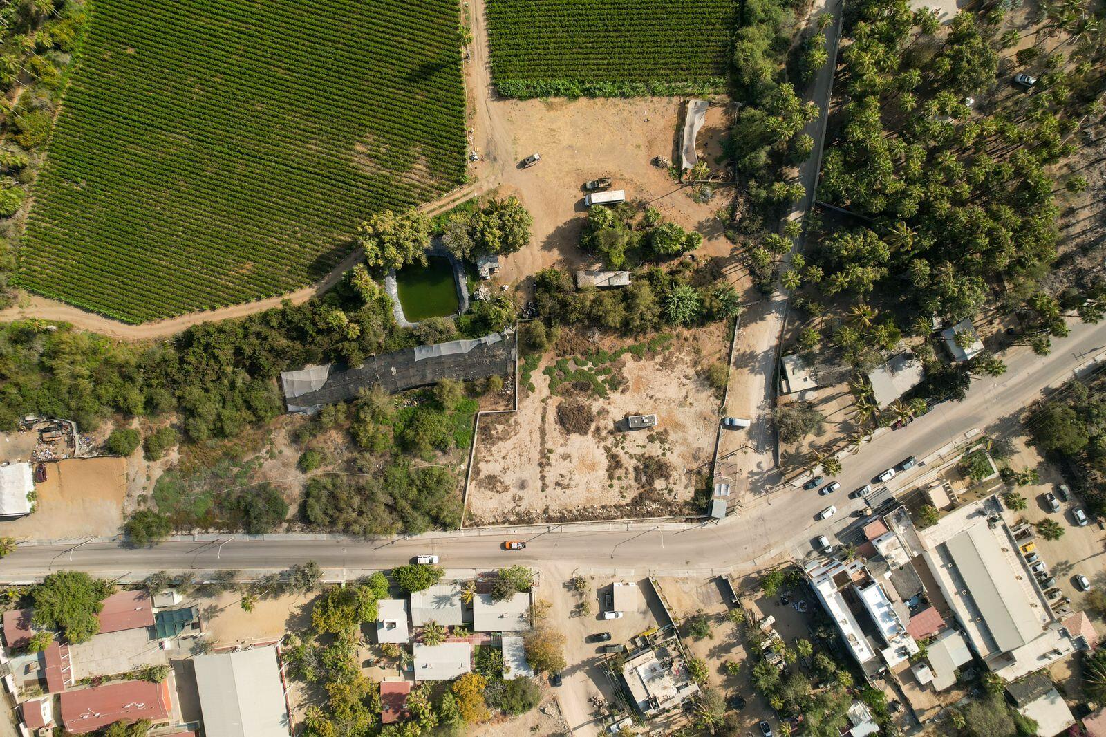 MLS #24-2986 image #5