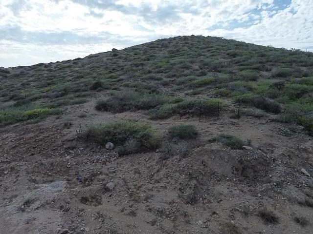 MLS #24-3161 img 5