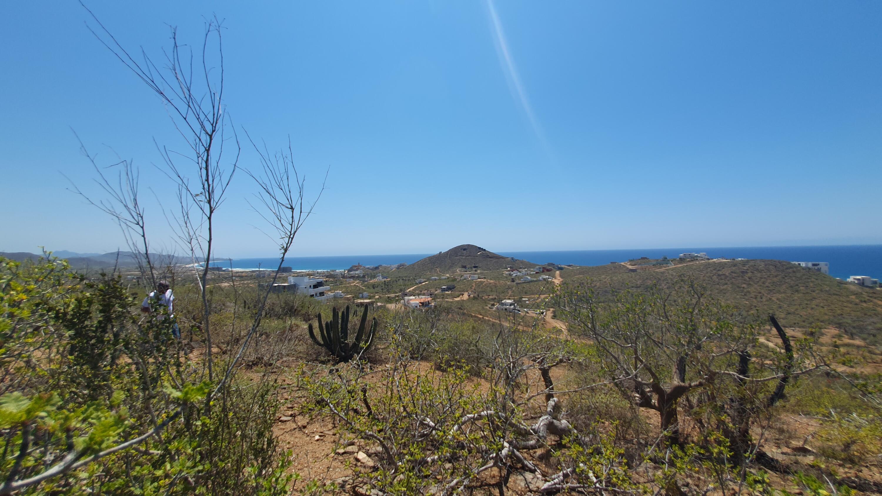 MLS #24-4151 image #3