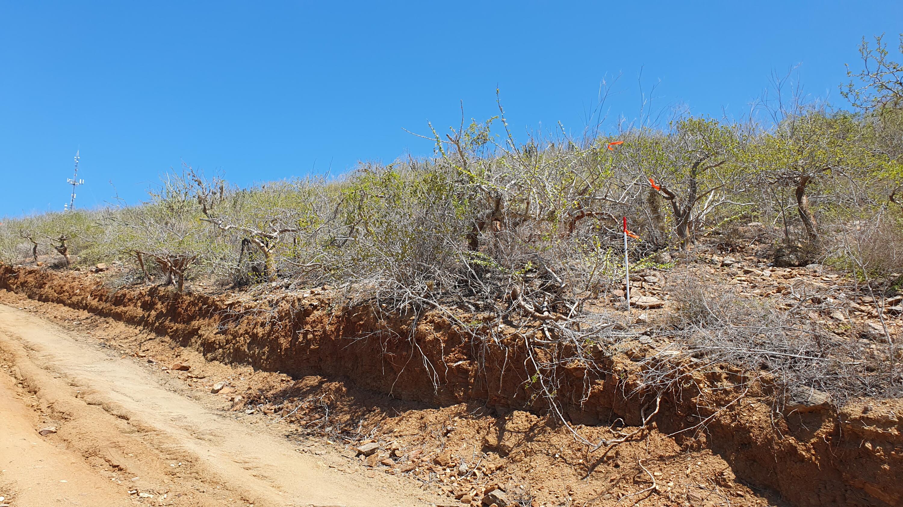 MLS #24-4151 image #5