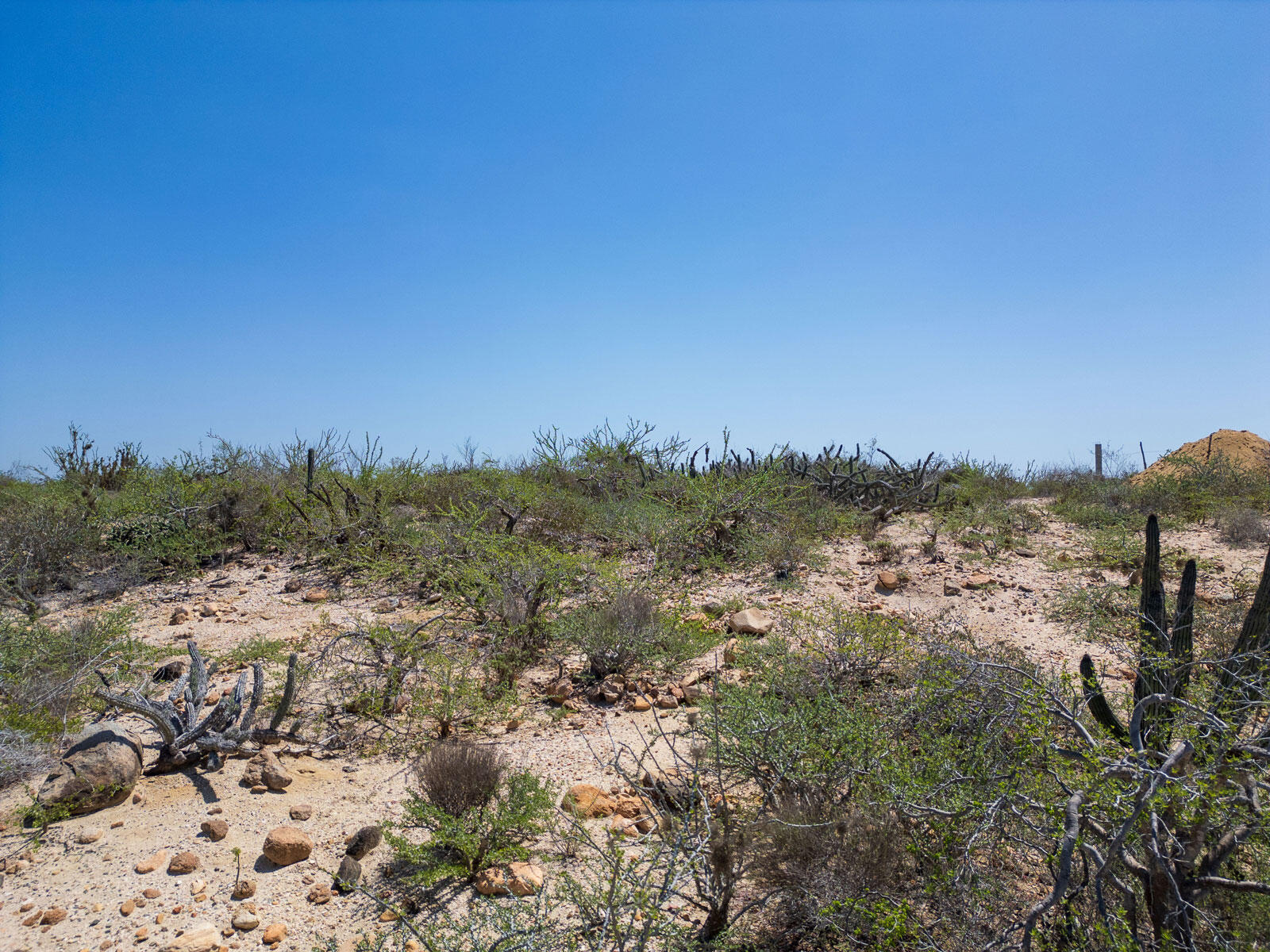 MLS #24-4263 img 1