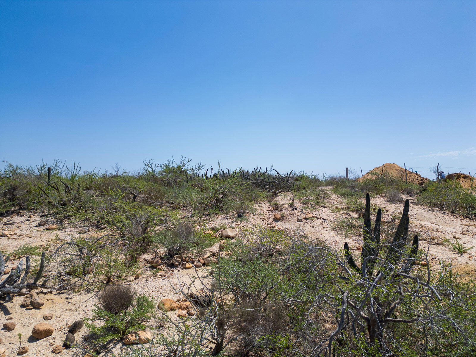 MLS #24-4263 img 6